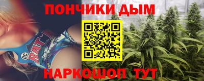 молекула духа Будённовск