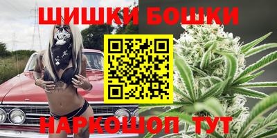 молекула духа Будённовск