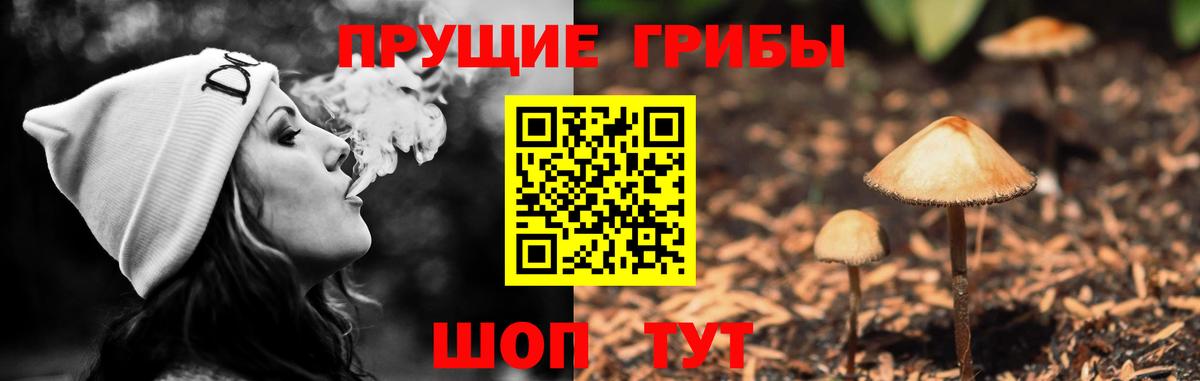 Псилоцибиновые грибы Magic Shrooms Курск